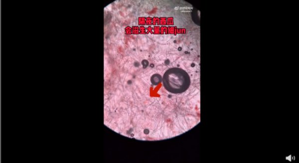 请示：“本日瓜本日毕”！西安又一家庭吃隔夜西瓜险丧命